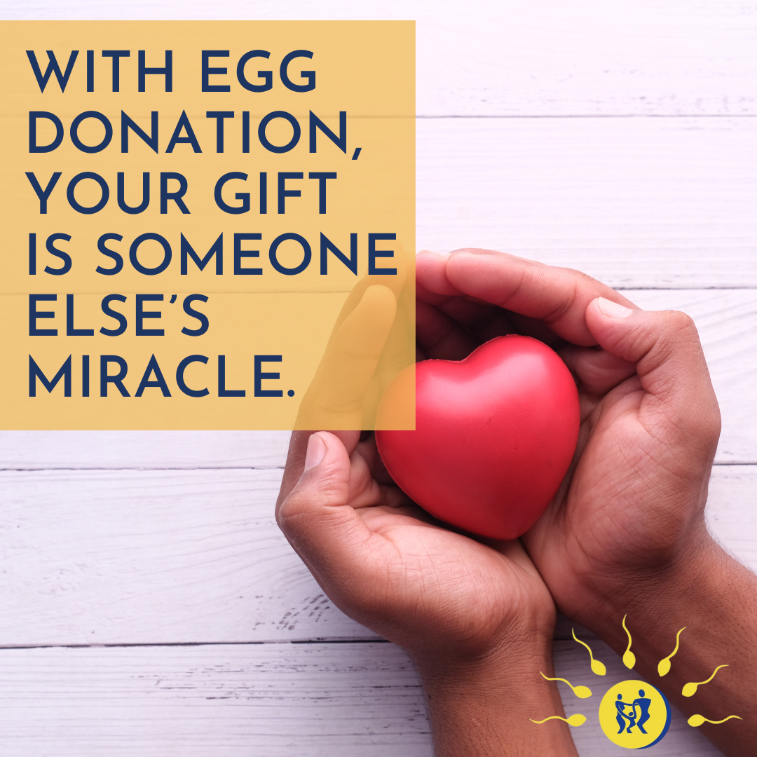 Become an Egg Donor. Your gift is somone else's miracle. 